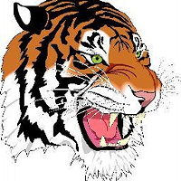 Falls City Logo